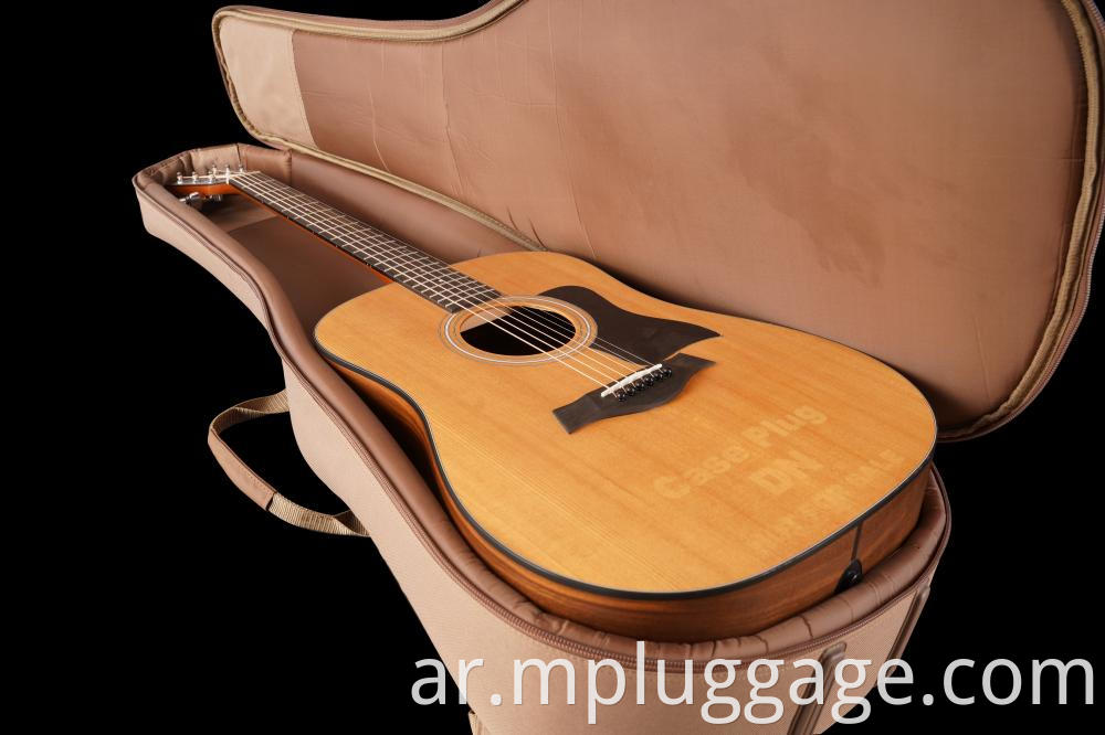 Guitar Bag